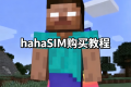hahaSIM购买教程