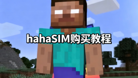 hahaSIM购买教程
